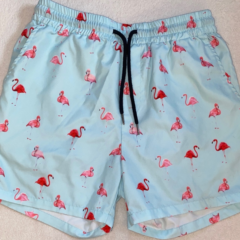 Flamingo print light blue background men’s shorts unlined elastic drawstring